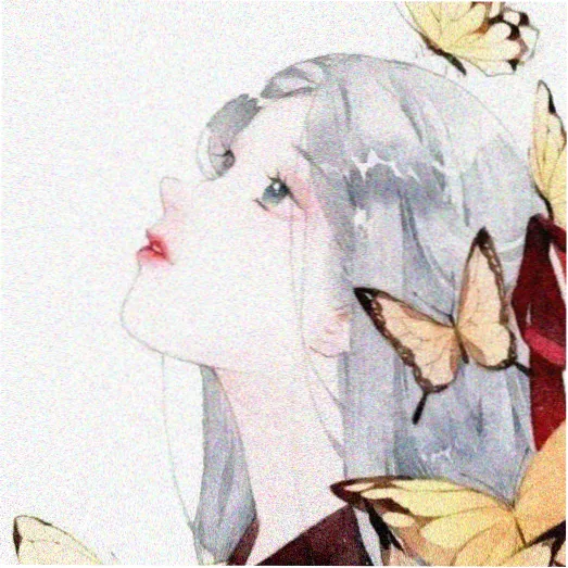 书友 拾肆 的头像